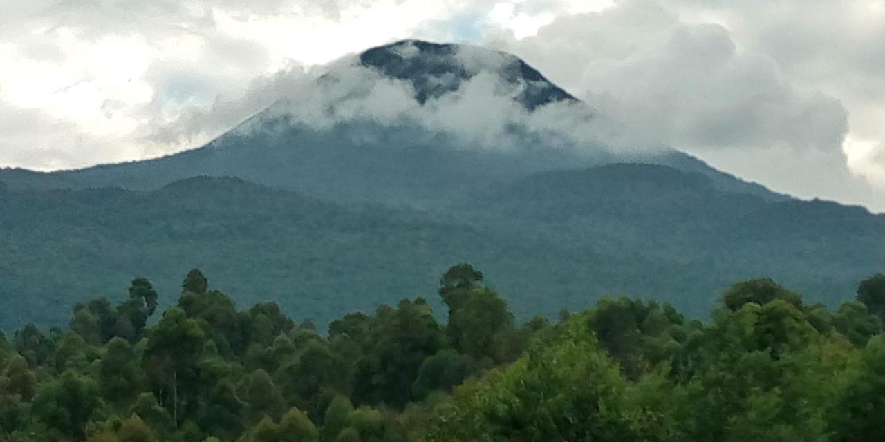 Mondi Lodge Kisoro Exterior foto